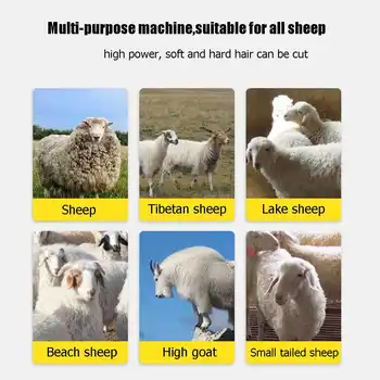 1200W 6 trepte Electric Sheep animale de Companie Tuns Forfecare Kit de Forfecare Lână de Capră de Tăiat Animalul de Companie Forfecare Consumabile Ferma de Tăiat Mașină de