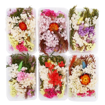 1 Cutie Presat Flori Mici, Flori Uscate Scrapbooking Uscat DIY Conserve de Flori Decor Acasă Mini Flores Flori Zces
