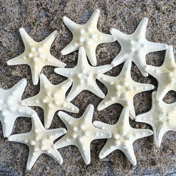 10buc Alb Noduros Pește Stea Naturale Uscate steaua de mare Sea Star Beach Ambarcațiunile de Nunta Decor Acasă Agățat Ornamente de Fotografiere elemente de Recuzită