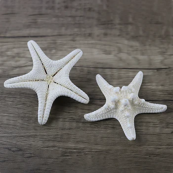 10buc Alb Noduros Pește Stea Naturale Uscate steaua de mare Sea Star Beach Ambarcațiunile de Nunta Decor Acasă Agățat Ornamente de Fotografiere elemente de Recuzită
